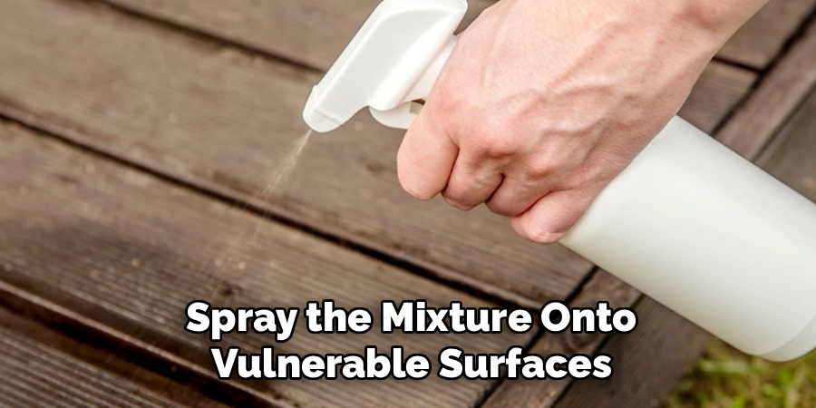 Spray the Mixture Onto
Vulnerable Surfaces