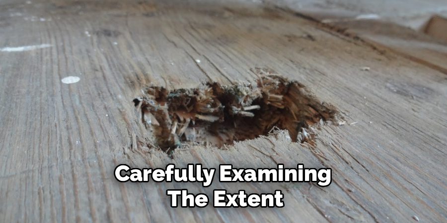 Carefully Examining
The Extent