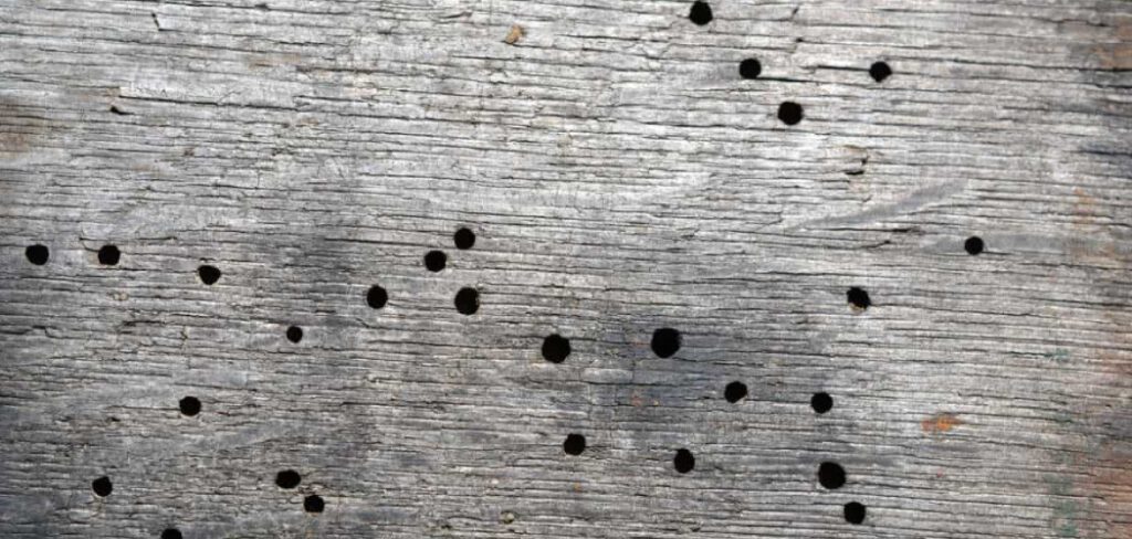 How to Fill Large Holes in Rotted Wood