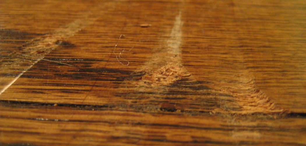 How to Stop Rats from Chewing Wood