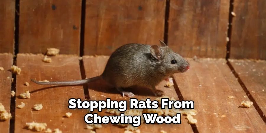 Stopping Rats From
Chewing Wood